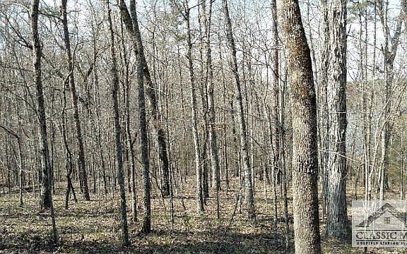 4th image of LOT 25-26 Beaver Dam Drive