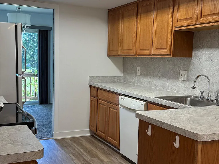 3028 Moon Lake Dr — Photo 3