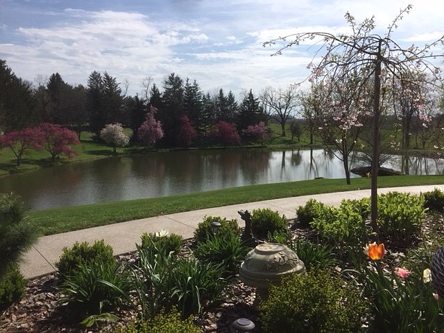 View from front porch 