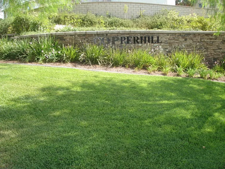 24623 Montevista Cir — Photo 20