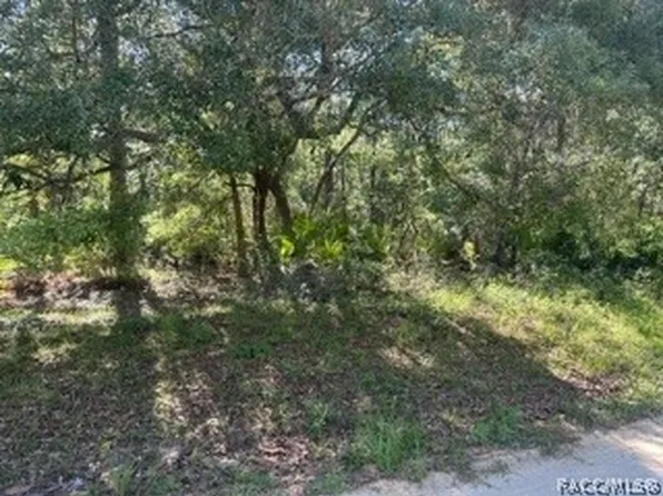 3234 N Amphibian Point, Crystal River, FL 34428