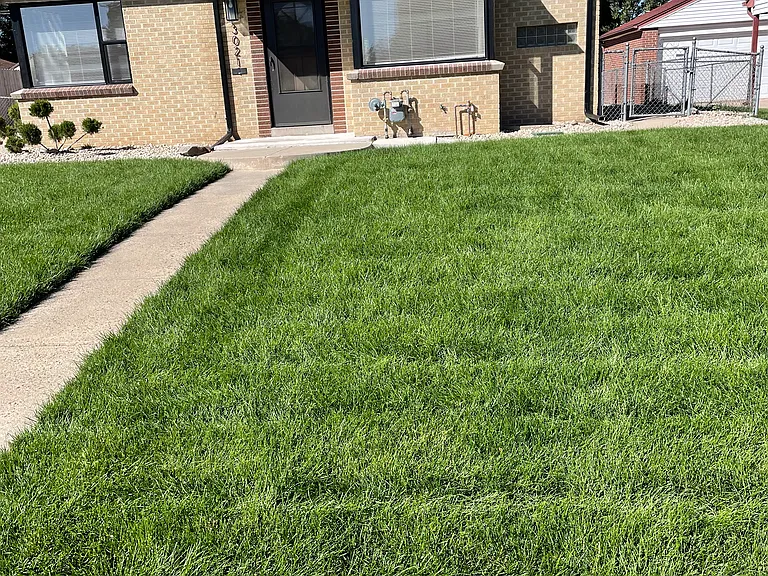 3021 Wilson Ct — Photo 11
