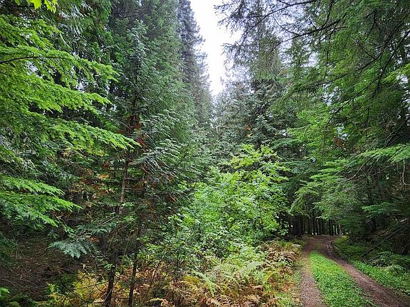 3rd image of 234XX N Mount Spokane Park Dr
