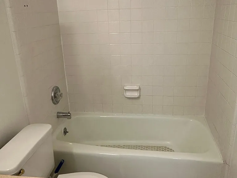 Master bathroom Toilet & Tub