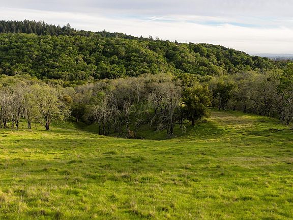 4th image of 4801 Shiloh Ridge