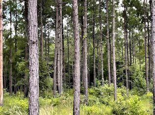 0 State Highway 202, Ochlocknee, GA 31773