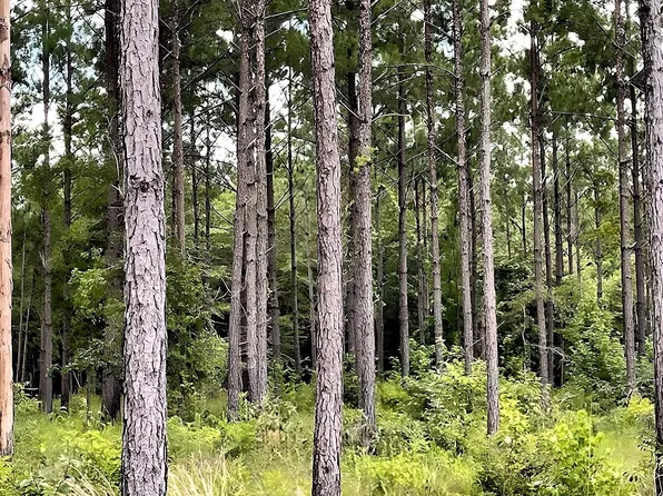 0 State Highway 202, Ochlocknee, GA 31773