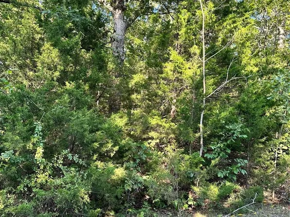 2422 San Chez Dr, Cuba, MO 65453