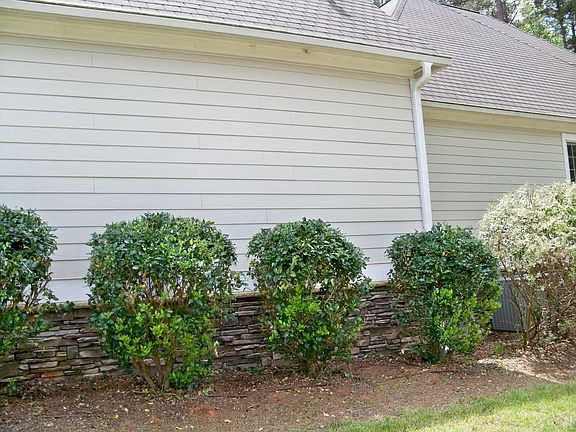 Side landscaping