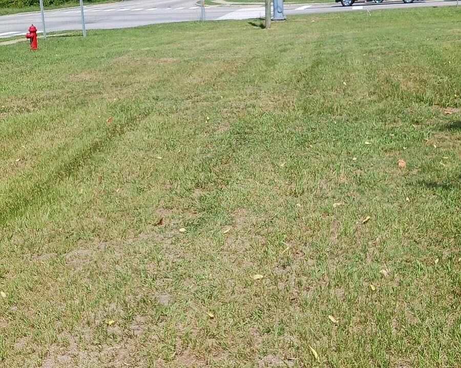 2nd image of 202 Mutual Boulevard