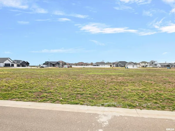 417 Manor Hill Dr, Chatham, IL 62629