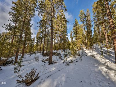 16 GCR 4631, Grand Lake, CO, 80447