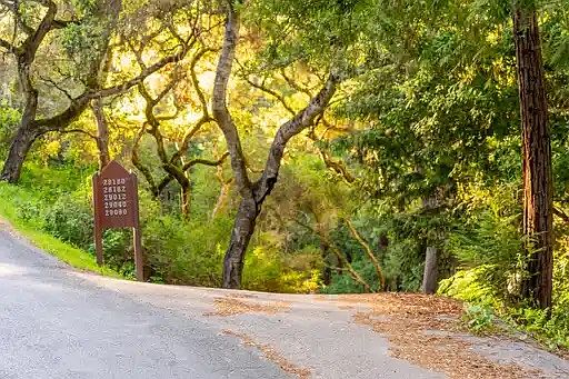 5th image of 29090 Robinson Canyon Rd