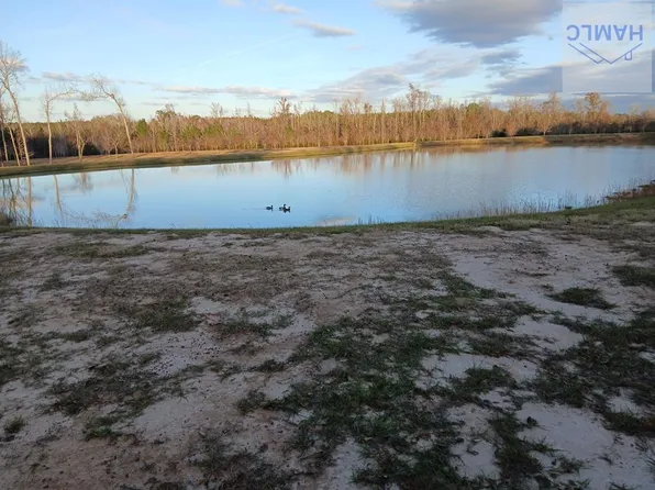 286 Glenn H Sikes Rd, Cobbtown, GA 30420