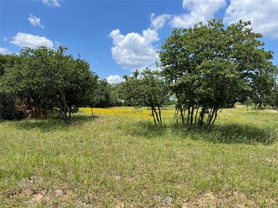 Lot 88 Colonial Dr, Graford, TX, 76449