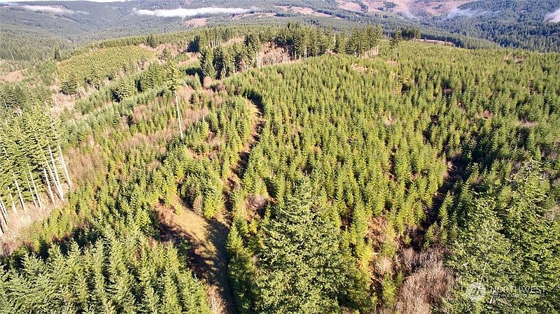 2nd image of 3 NE Jones Creek Road