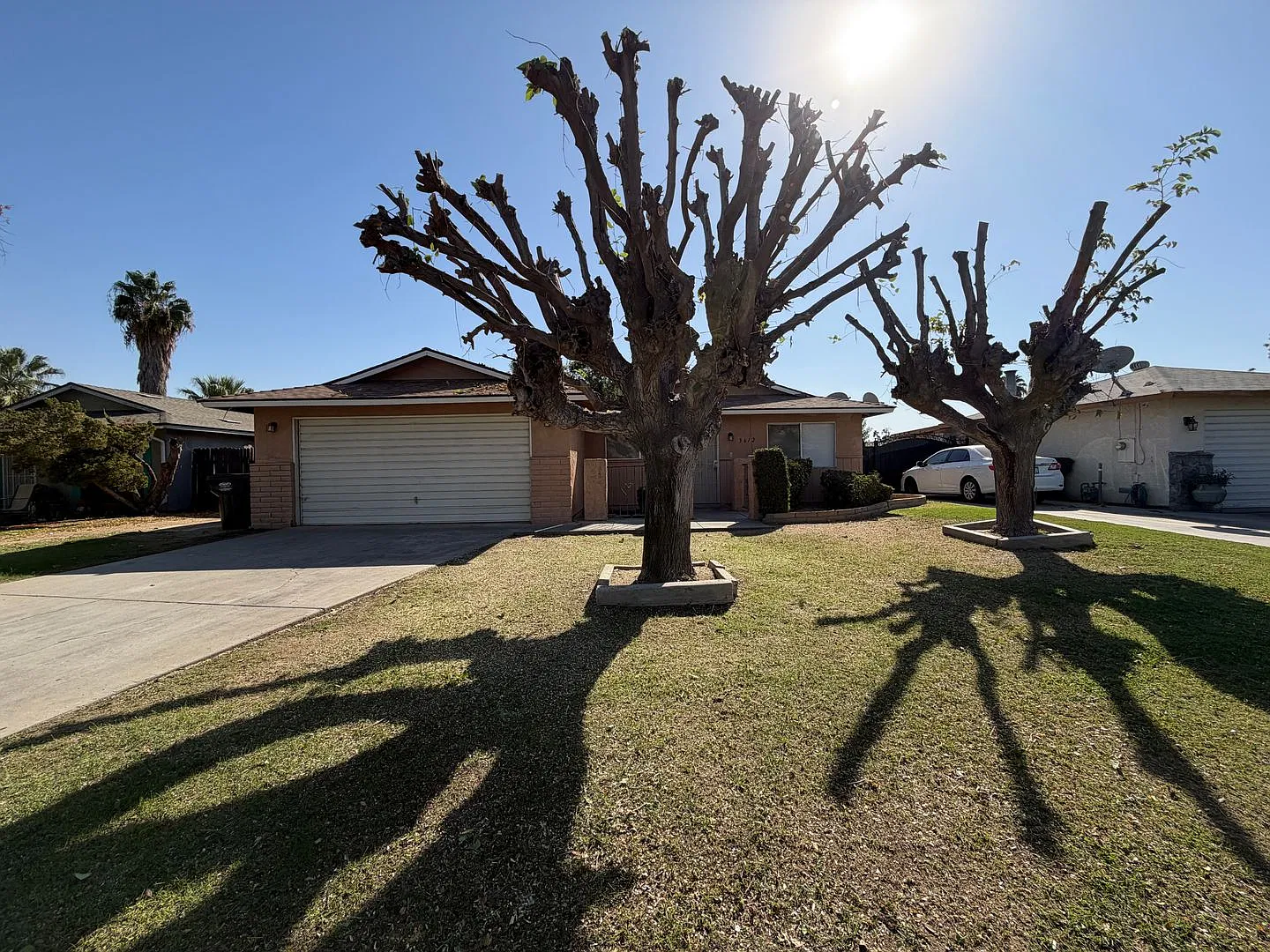 3-Bedroom Home with Two Living Areas & Spacious Backyard! — Photo 2