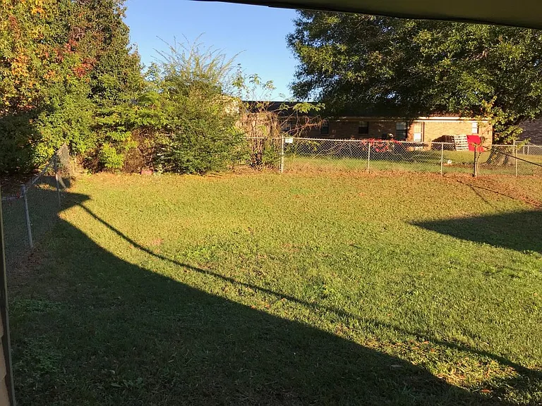 Backyard 1