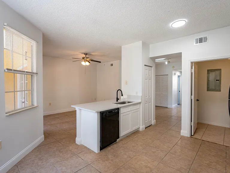 10873 Windsor Walk Dr #4102 — Photo 12