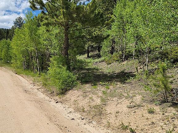 2nd image of 260 Missouri Gulch Black