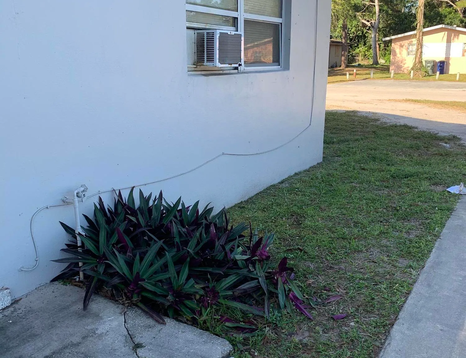 2 bed, 1.0 bath, 850 sqft, $1,200 — Photo 4