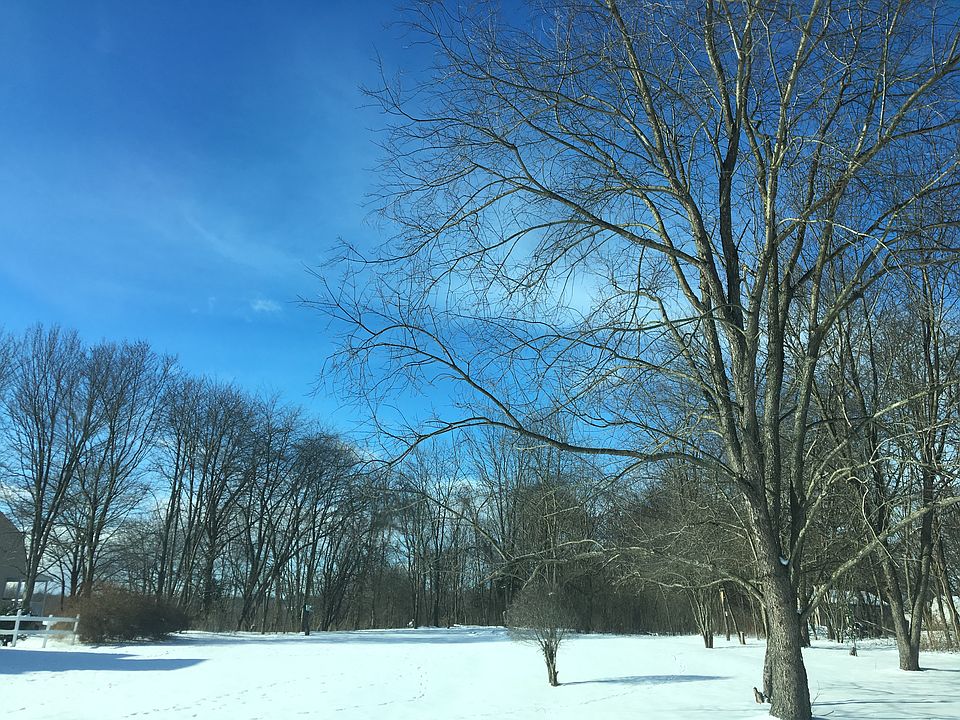 view from road