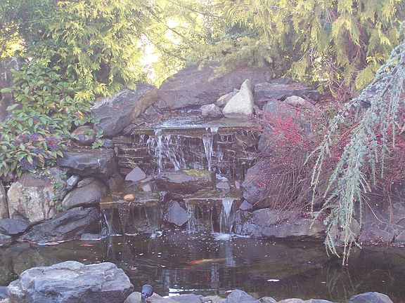 Home has three beautiful water features