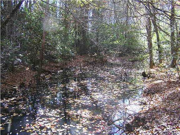 2nd image of 231 River Dr