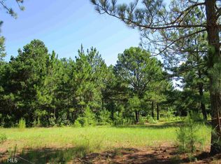 4649 Pleasant Plains Rd, Harrison, GA 31035