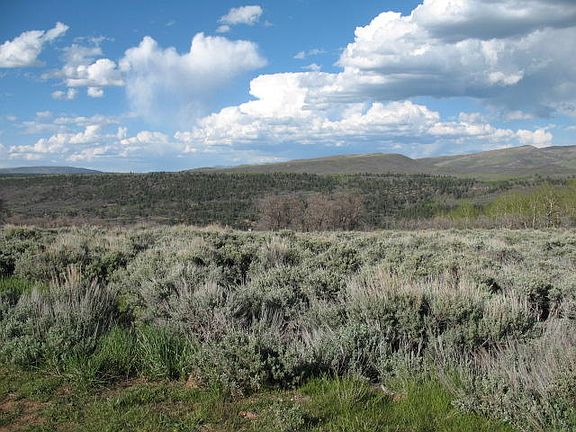 5th image of Little Lakes Ranch Rd
