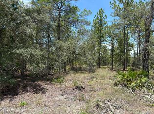 12179 Scarlet Ibis Ave, Brooksville, FL 34614