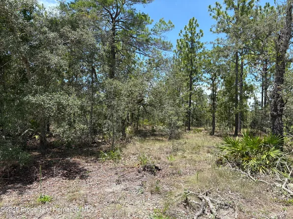 12179 Scarlet Ibis Ave, Brooksville, FL 34614