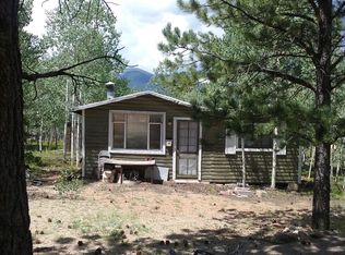 9 Charmatella Dr, Bailey, CO 80421