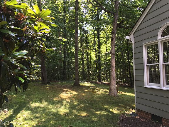Back yard