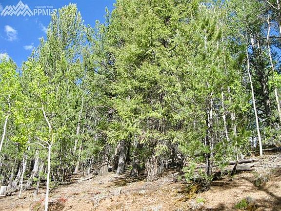 2nd image of 2213 Pikes Peak Dr