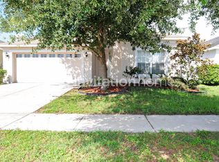 3029 Gem Luster Ct, Valrico, FL 33594