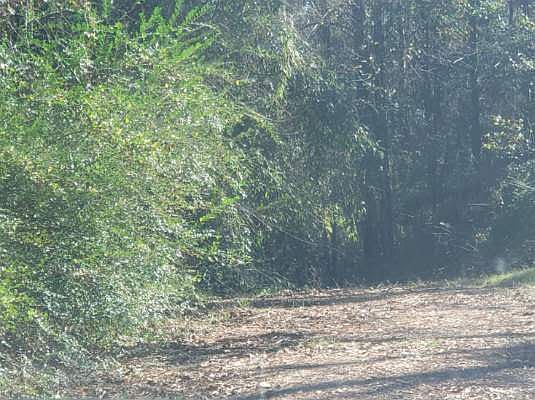 1st image of Lakewood Dr