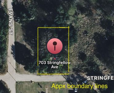 703 Stringfellow Ave, Marlin, TX, 76661