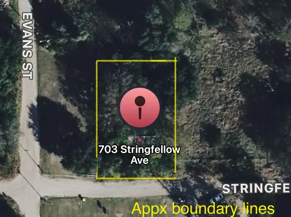703 Stringfellow Ave, Marlin, TX 76661