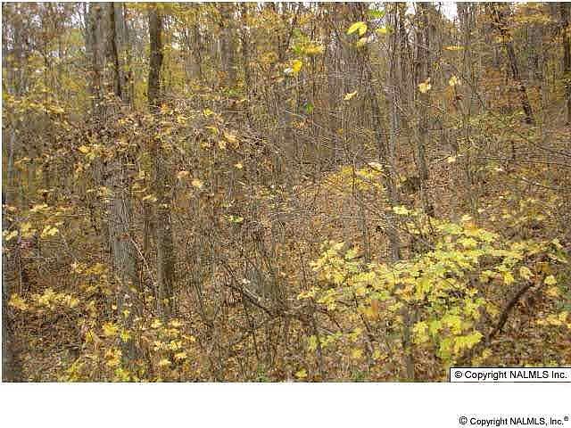 2nd image of Keel Mountain Road
