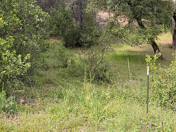 3rd image of Manzanita Rd