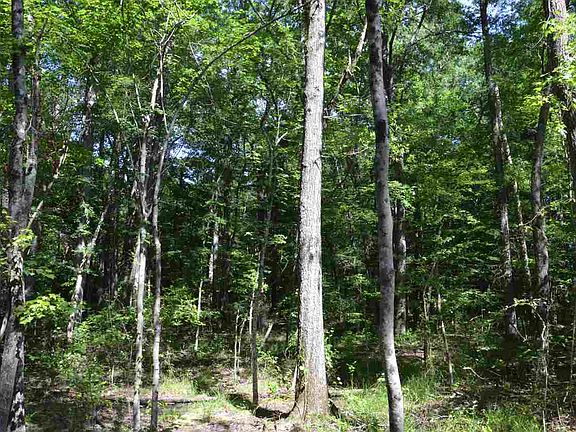 5th image of LOT 4 Pleasant Brook Way Lot 4
