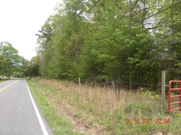 Highway 195, Jasper, AL 35503