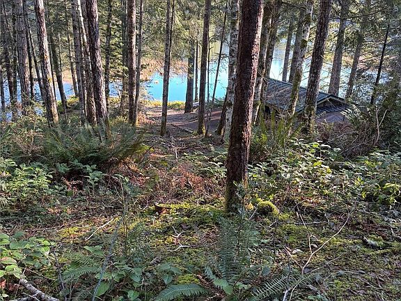 5th image of 0 NE Lake Christine Road