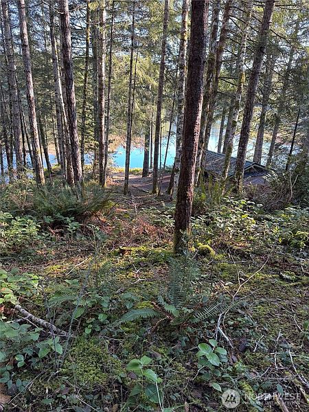 5th image of 0 NE Lake Christine Road