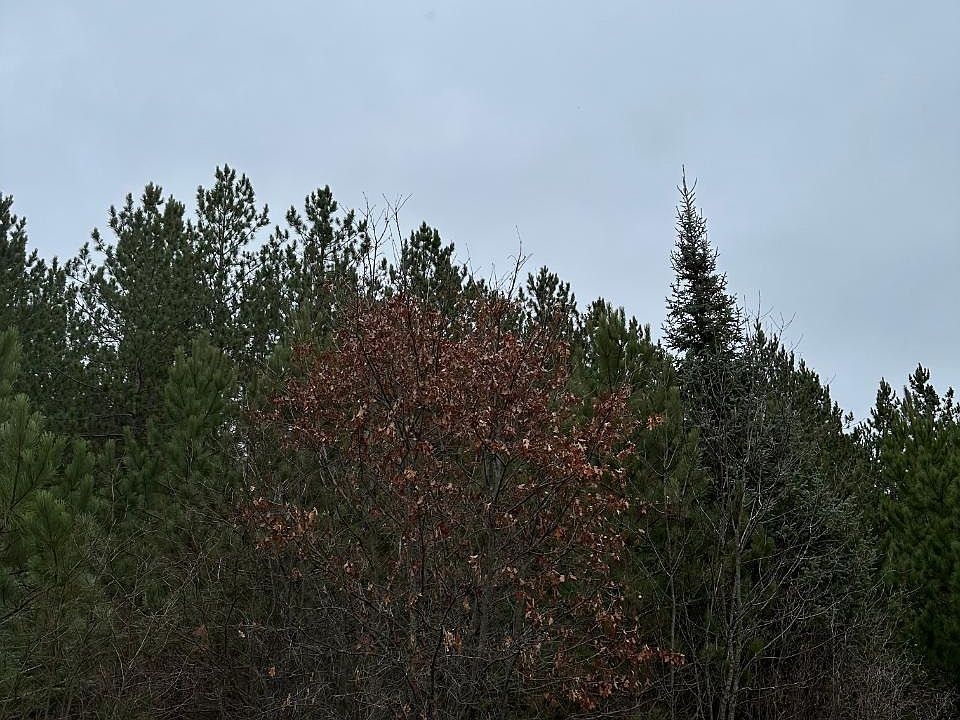 2nd image of Lois Rd #4069-3