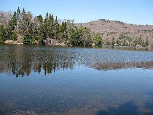 Land For Sale Goodnow Flow