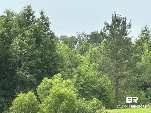 0 E County Road 54, Daphne, AL 36526