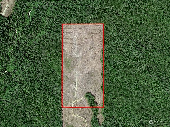 2nd image of 120 Forest Service 1.2