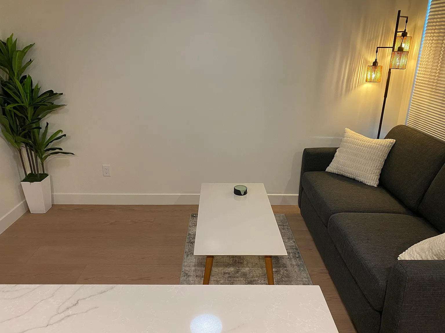 1 bed, 418 sqft, $2,600 — Photo 4